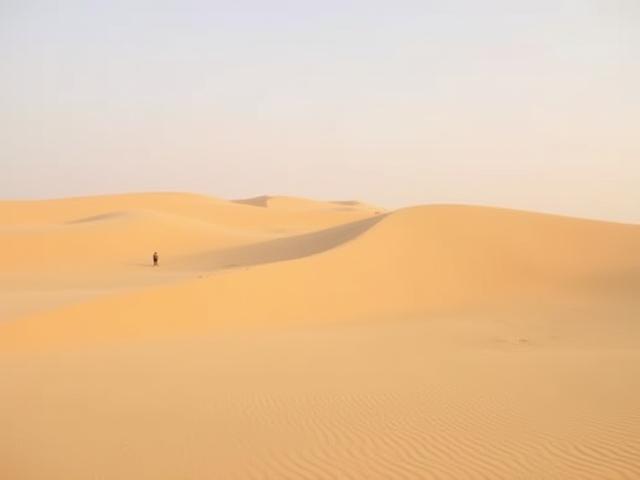 Majestic dunes of Liwa