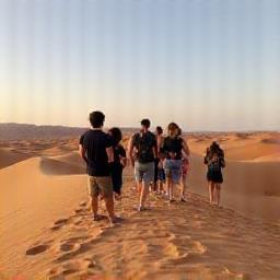 Guided desert tour group